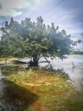 Amazon river, Brazil Stock Photos