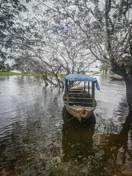 Amazon river, Brazil Stock Photos