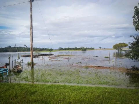 Amazon river, Brazil Stock Photos