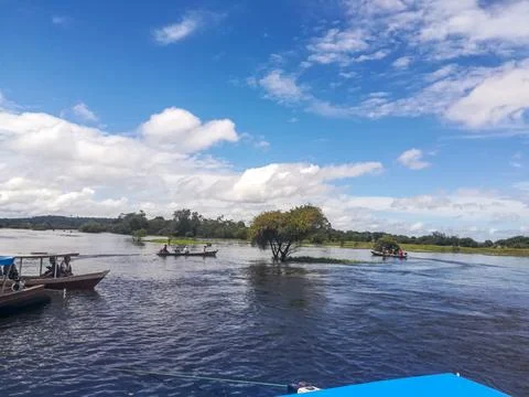 Amazon river, Brazil Stock Photos