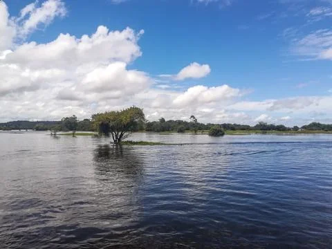 Amazon river, Brazil Stock Photos