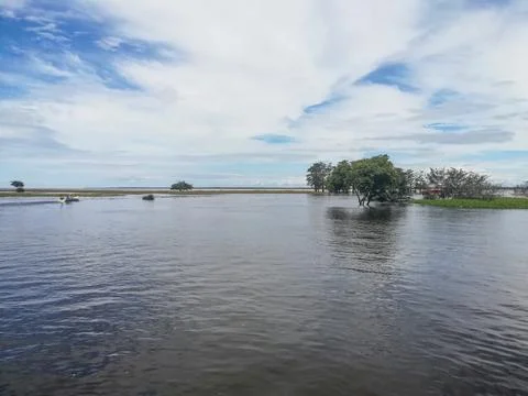 Amazon river, Brazil Stock Photos