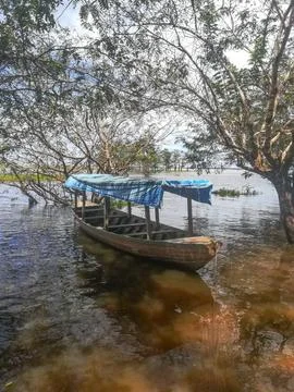 Amazon river, Brazil Stock Photos