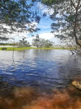 Amazon river, Brazil Stock Photos