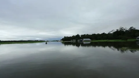 Amazon River, the calm surface of the river Stock Footage 50441257