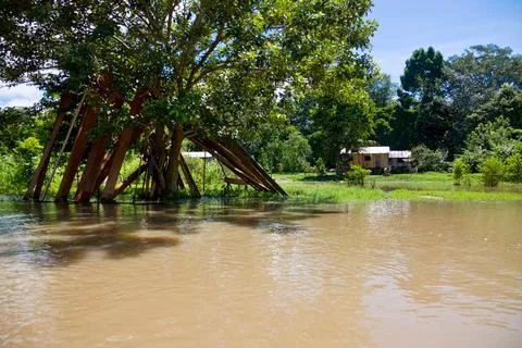 Amazon River Channel Flowing Through Lush Tropical Forest Stock Photos