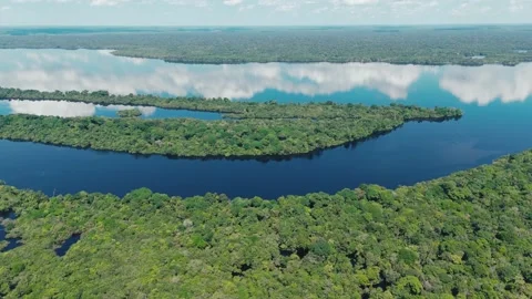 Amazon River Curves Through Dense Jungle Stock Footage 322127552