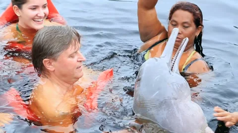 The Amazon river dolphin being feed by a local Stock Footage 36635655