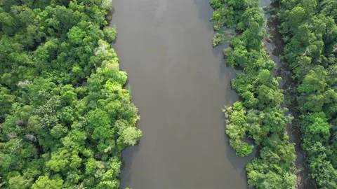 Amazon River Drone Shot Stock Footage 220521906