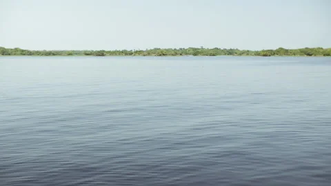 Amazon River with floating plants Vídeo Stock 164046048