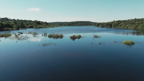 Amazon River Flowing Through Tropical Wilderness Stock Footage 322114771
