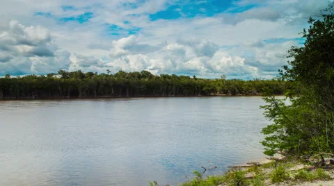 Amazon river Stock Footage 62968788