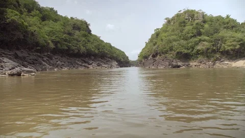 The amazon river Stock Footage 129846288