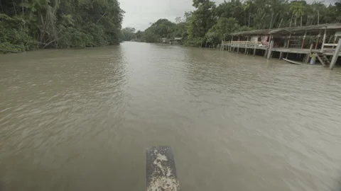 Amazon River Stock Footage 151362655
