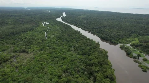 Amazon River Stock Footage 220521781