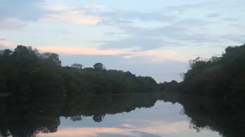 Amazon river just before sunset Stock Footage 279192224
