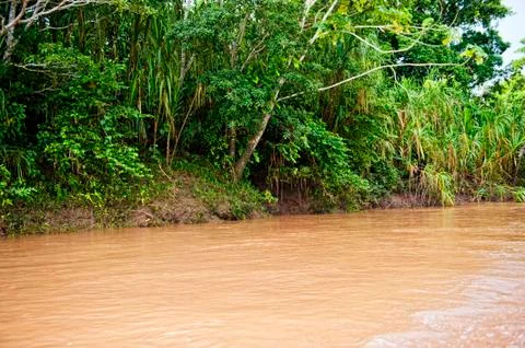 Amazon River Outdoors Stock Photos