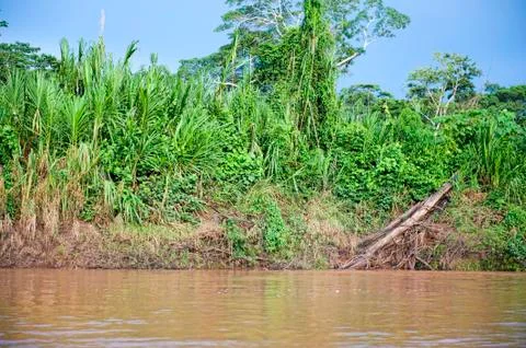 Amazon River Outside Stock Photos