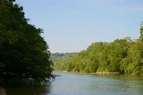 Amazon River Stock Photos