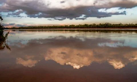 Amazon river Stock Photos