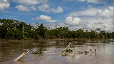 Amazon river Stock Photos