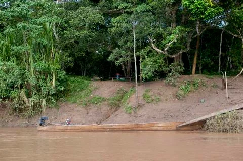 Amazon River 스톡 사진