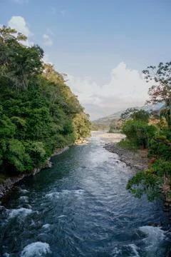 Amazon River Stock Photos