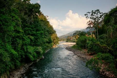 Amazon River Stock Photos