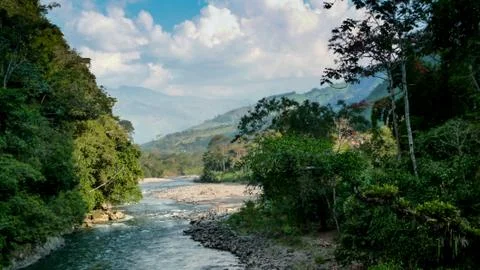 Amazon River Stock Photos