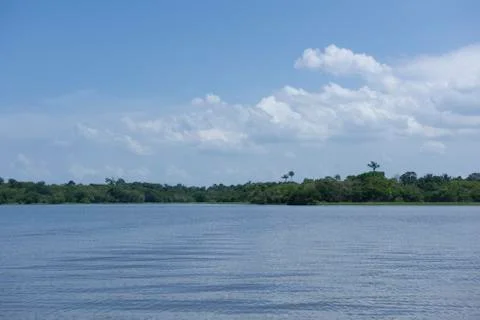 Amazon river Stock Photos