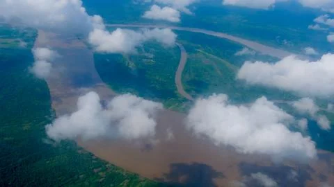 Amazon River Stock Photos
