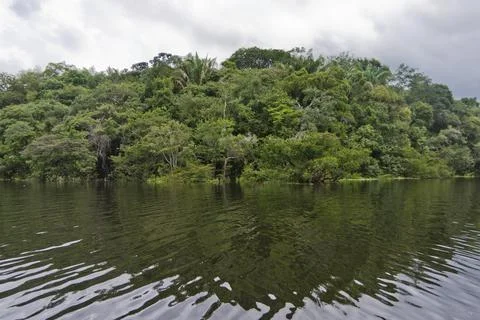 Amazon river reflection, Brazil, South America Foto stock