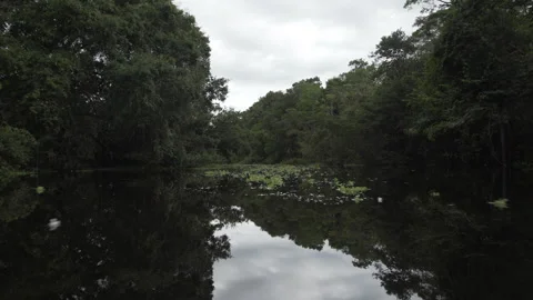 Amazon River Reflections From Above, Mirror-Like Water, Peru (4K, 30fps) 스톡 동영상 326948974
