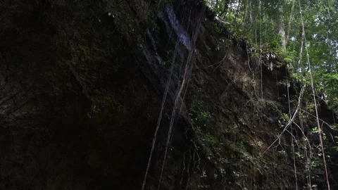 The Amazon river - small channel Stock Footage 279194653