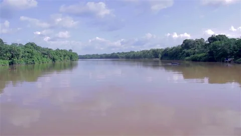 Amazon river on a sunny day Stockbeeldmateriaal 75174954