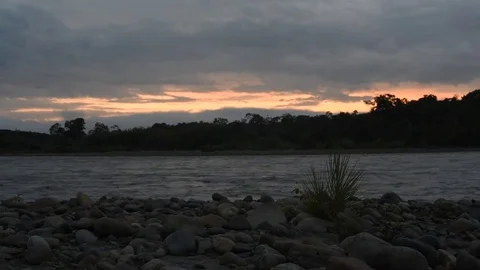 The Amazon River at sunrise Stock Footage 74006363