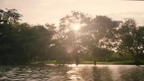 Amazon River Sunset Stock Footage 309407796