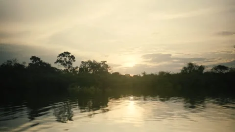 Amazon River Sunset View 動画素材 309407656