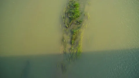 Amazon river in turkey Stock Footage 93346409