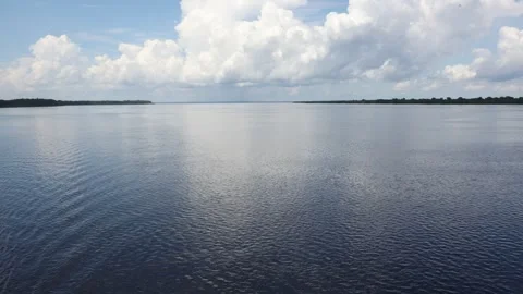The Amazon river - whole view Stock Footage 279191275