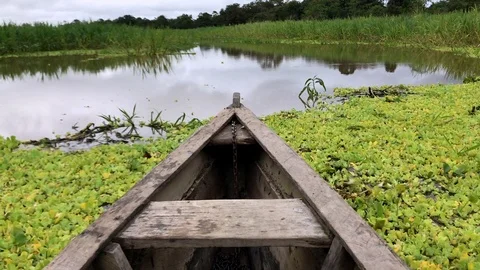 Amazon river - a wooden boat stem moving through water Stock Footage