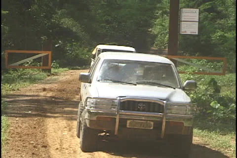 Amazon road with jeeps Stock Footage 24235511