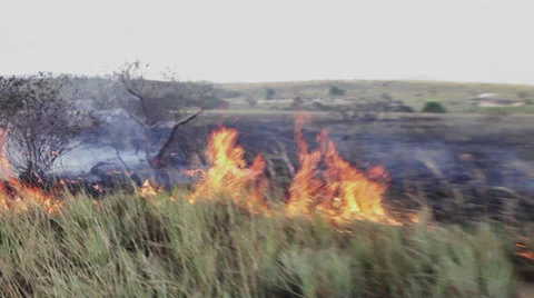 Amazon-Savana-Fire-Indigenous-Hut-River-Brazil Stock Footage 30594147