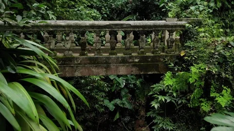 Amazon Secret Bridge Video stock 113736165