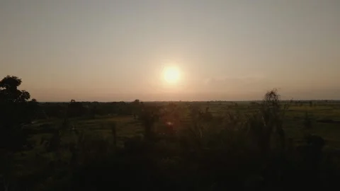 Amazon Sunset Landscape Stock Footage 309358164