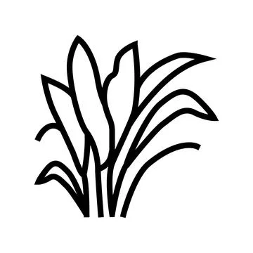 Amazon sword line icon vector illustration 库存插图