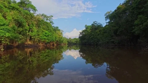 An Amazon Tributary Stock Footage 73277033