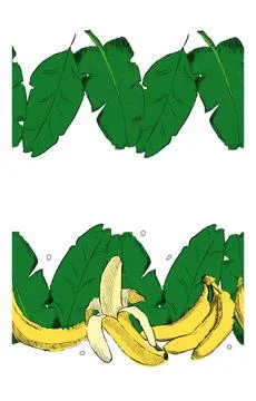 Amazon tropical leaves seamless pattern horizontal border frame. vector illus 스톡 일러스트