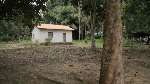 Amazon village house Video stock 153097805