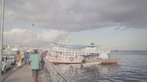 Amazonas 01 Stock Footage 126361682